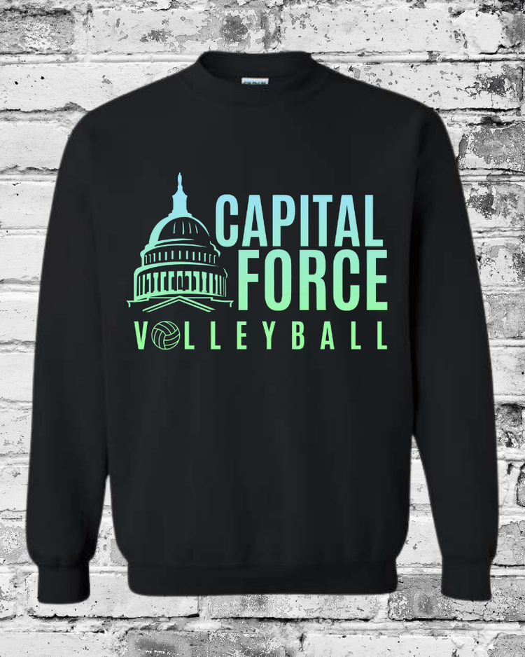 Adult Black Crewneck w/Ombre Logo