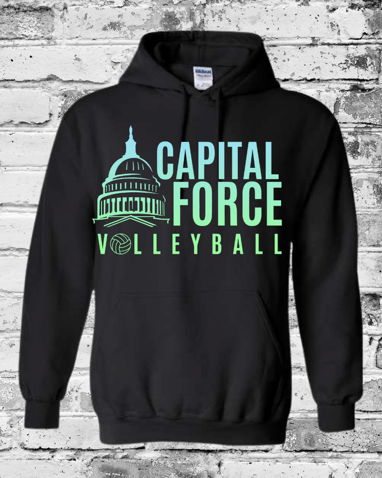 Adult Black Hoodie w/Ombre Logo
