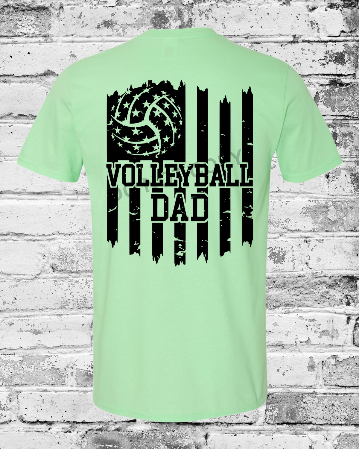 Adult Mint Green T-Shirt w/Black Dad Flag