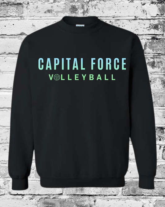 Adult Black Crewneck w/Ombre Capital Force