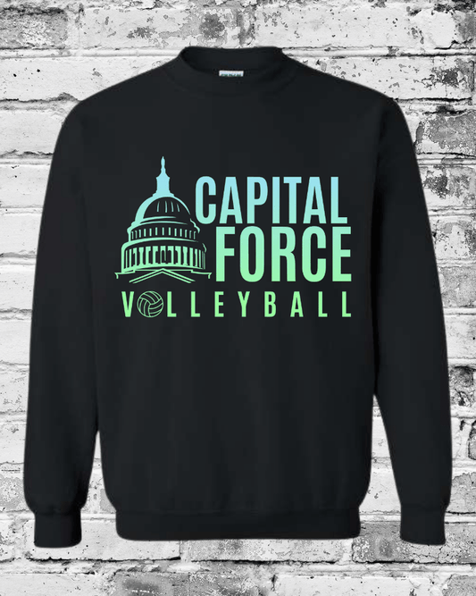 Adult Black Crewneck w/Ombre Logo