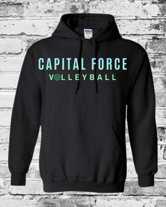 Adult Black Hoodie w/Ombre Capital Force