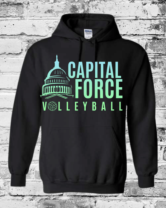 Adult Black Hoodie w/Ombre Logo