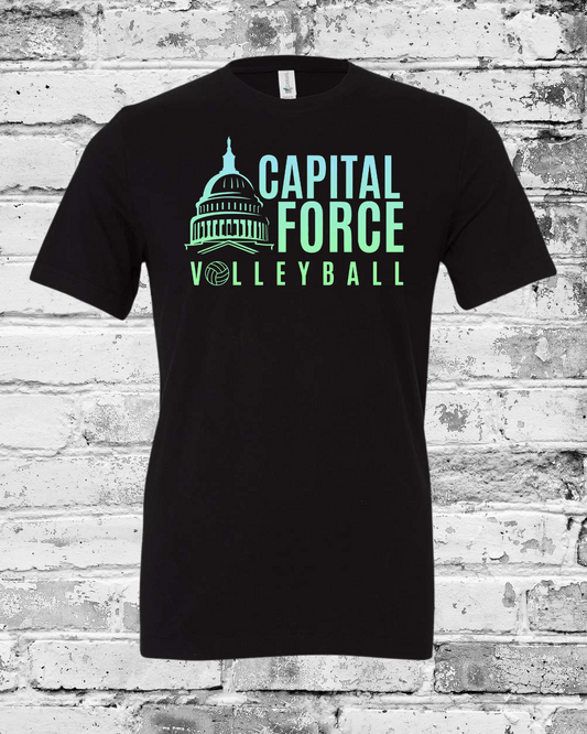 Adult Black T-Shirt w/Ombre Logo