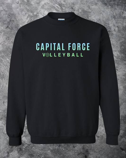 Adult Black Crewneck w/ Ombre Capital Force