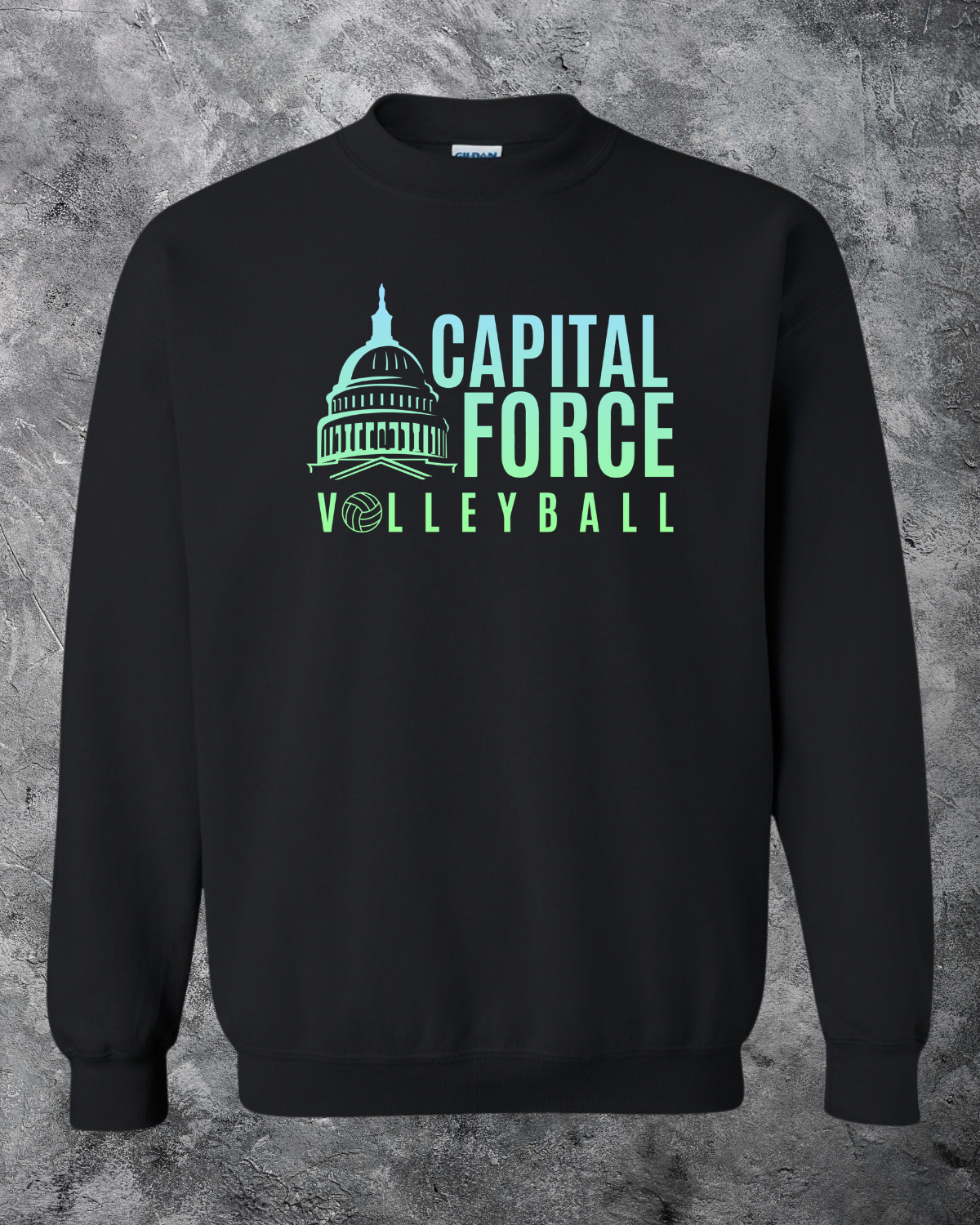 Adult Black Crewneck w/ Ombre Logo