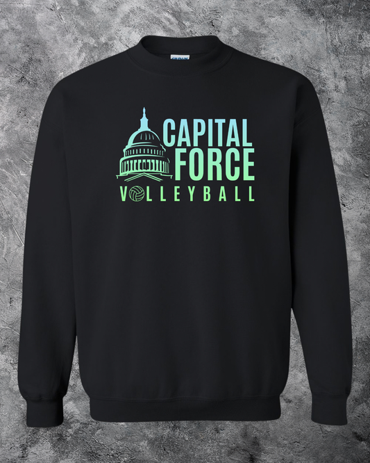 Adult Black Crewneck w/ Ombre Logo