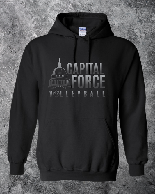 Adult Black Hoodie w/ Black Ombre Logo