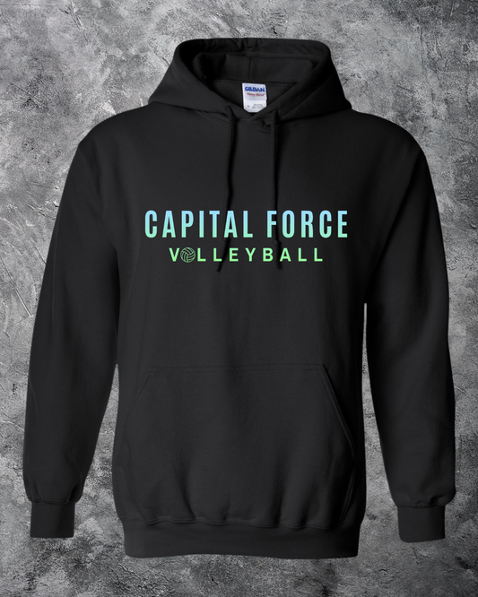 Adult Black Hoodie w/ Ombre Capital Force