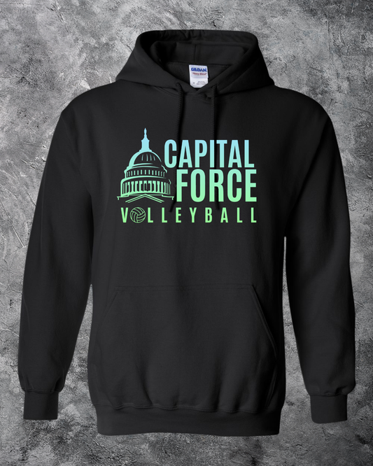 Adult Black Hoodie w/ Ombre Logo