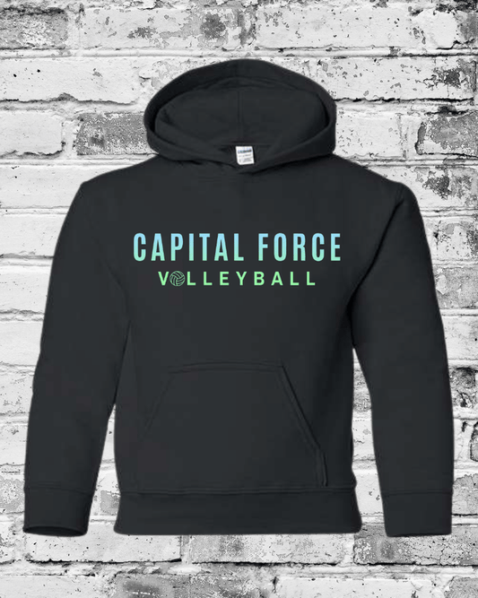 Youth Black Hoodie w/Ombre Capital Force