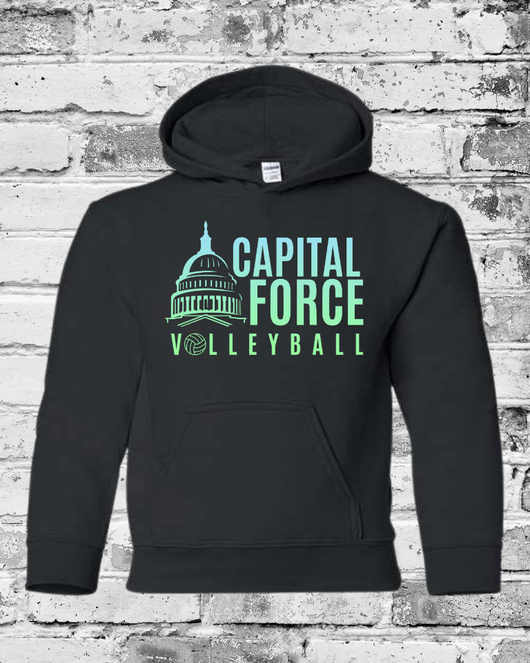 Youth Black Hoodie w/Ombre Logo