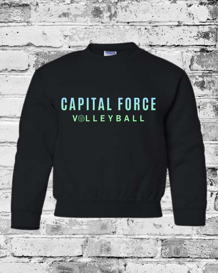 Youth Black Crewneck w/Ombre Capital Force