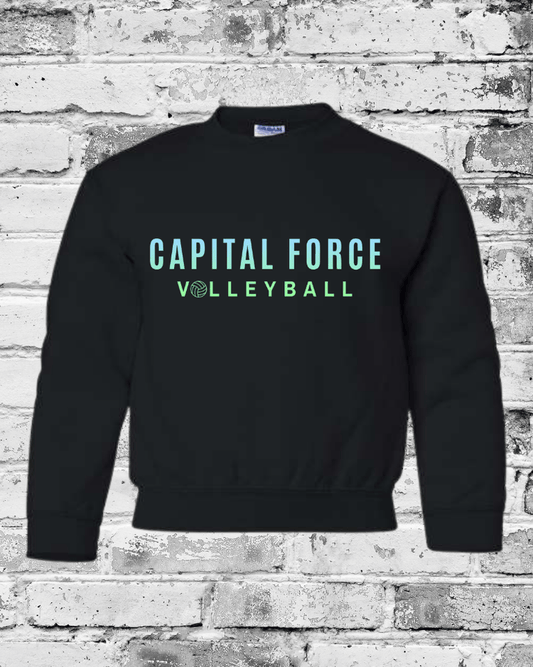 Youth Black Crewneck w/Ombre Capital Force