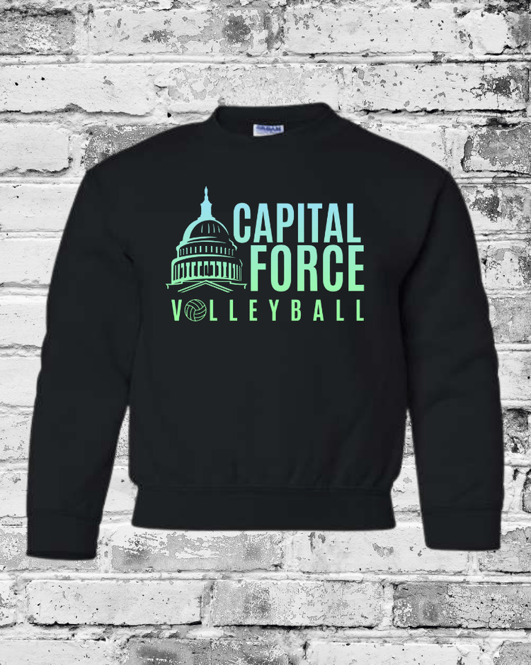 Youth Black Crewneck w/Ombre Logo