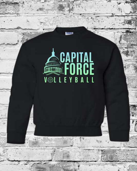 Youth Black Crewneck w/Ombre Logo